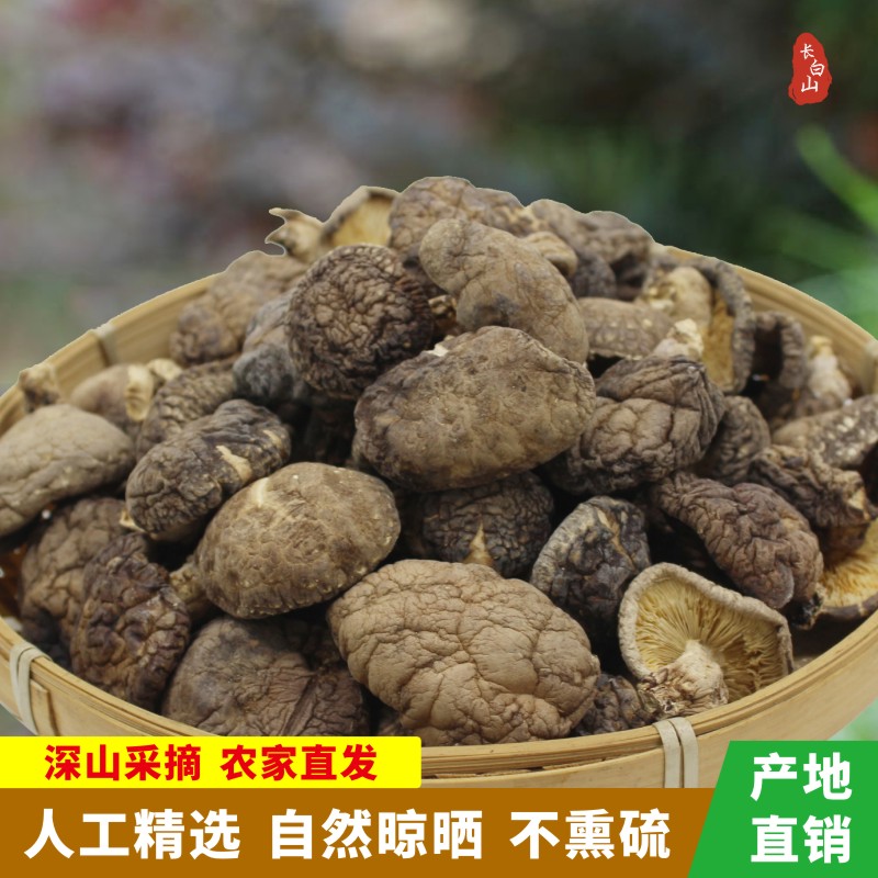 纯东北野生香菇长白山散装天然500g新年货冬菇花菇小蘑菇特干货级