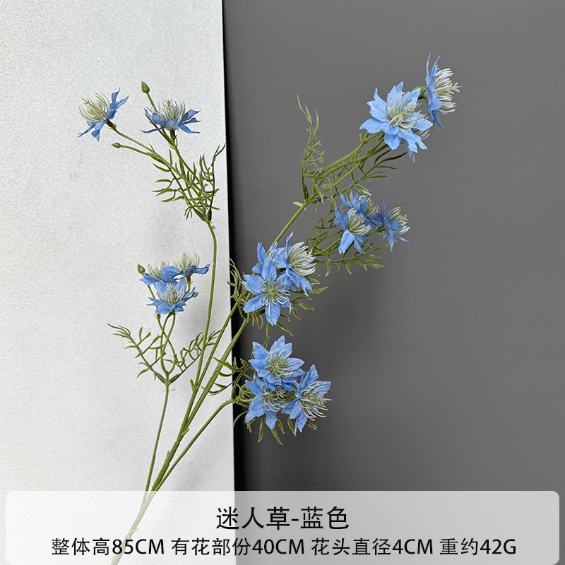 매력적인 풀