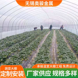 蔬菜温室大棚种植西瓜草莓育苗大棚8米 6米宽简易热镀锌大棚冷棚