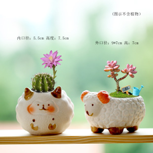 ����ɐۿ�ͨС������L����͸����⻨�肀�Գ��Ȕ[����ˇƷ���l