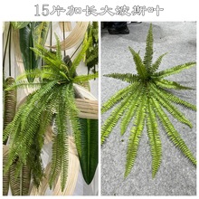 �羳�·���ާ������Gֲ�b�15Ƭ���L��˹�~���^�b������l