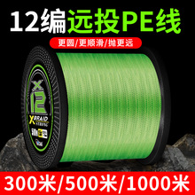 300��500��·���~��12��pe����1000�״����R·���hͶ�O��������