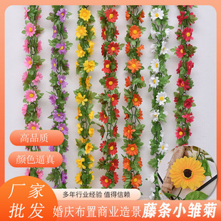 �����r���ٗl�����տ��҃ȱ����������b��{�ܵ��ړ����滨�ٗl