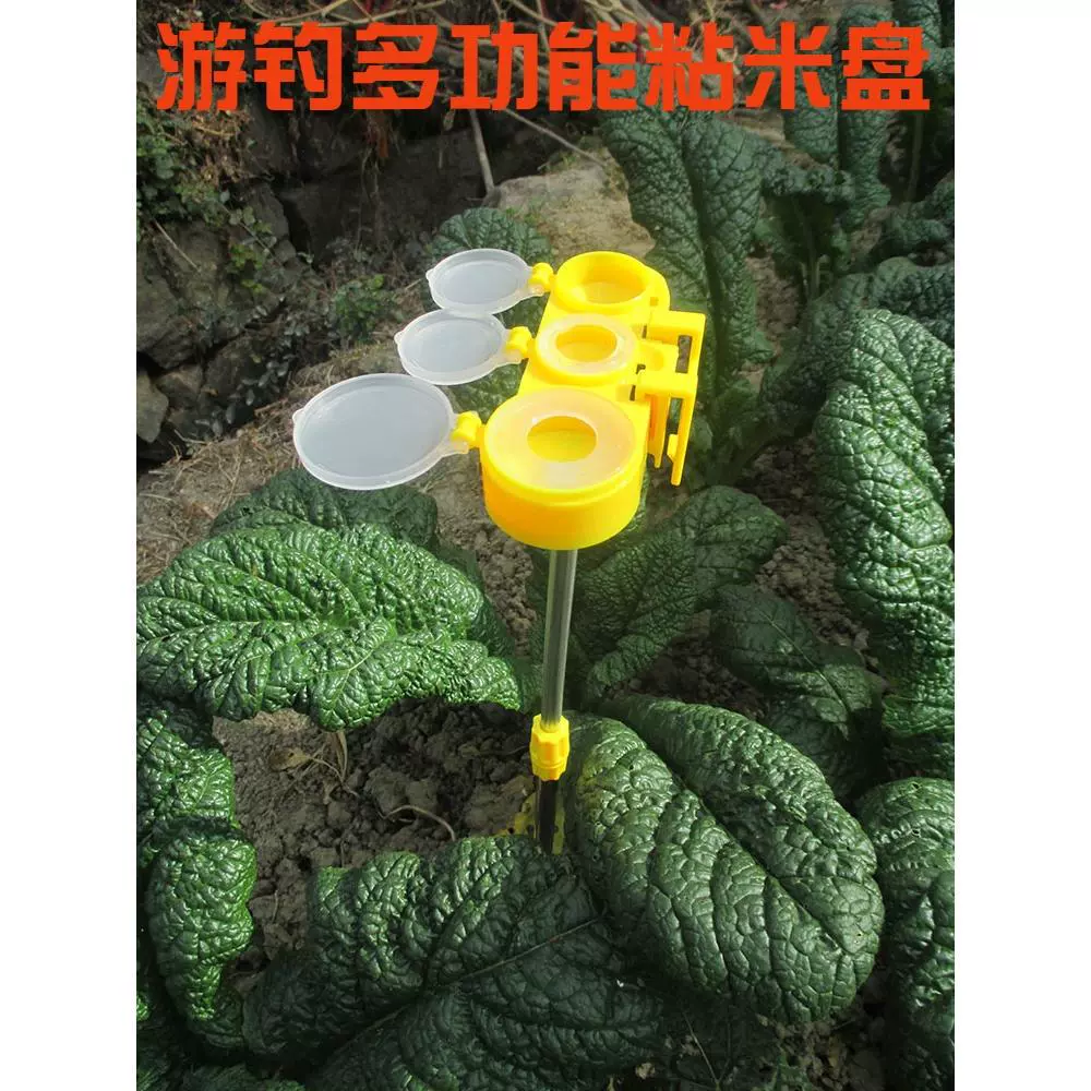 Многофункциональный лоток для клейкой рисовой муки, коробка для красного червя в стиле талии, сильный магнитный шейкер, пустой крючок, лоток для рыболовной приманки, набор для дикой рыбалки