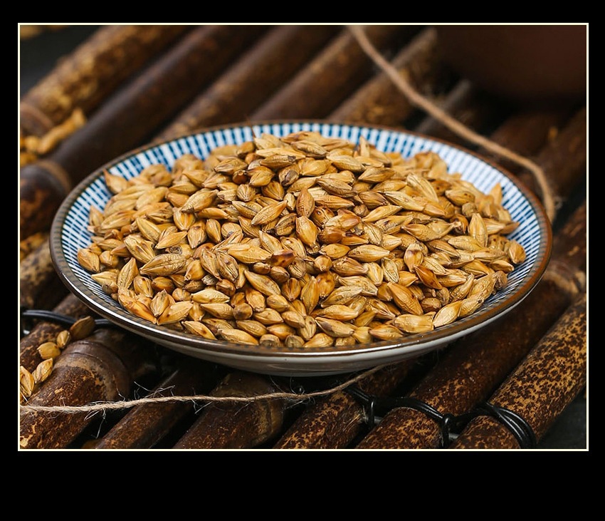 Genmaicha Japanese Style Roasted Barley Tea 120g Loose Grain Brew for Sushi Shops and Daily Wellness specifications