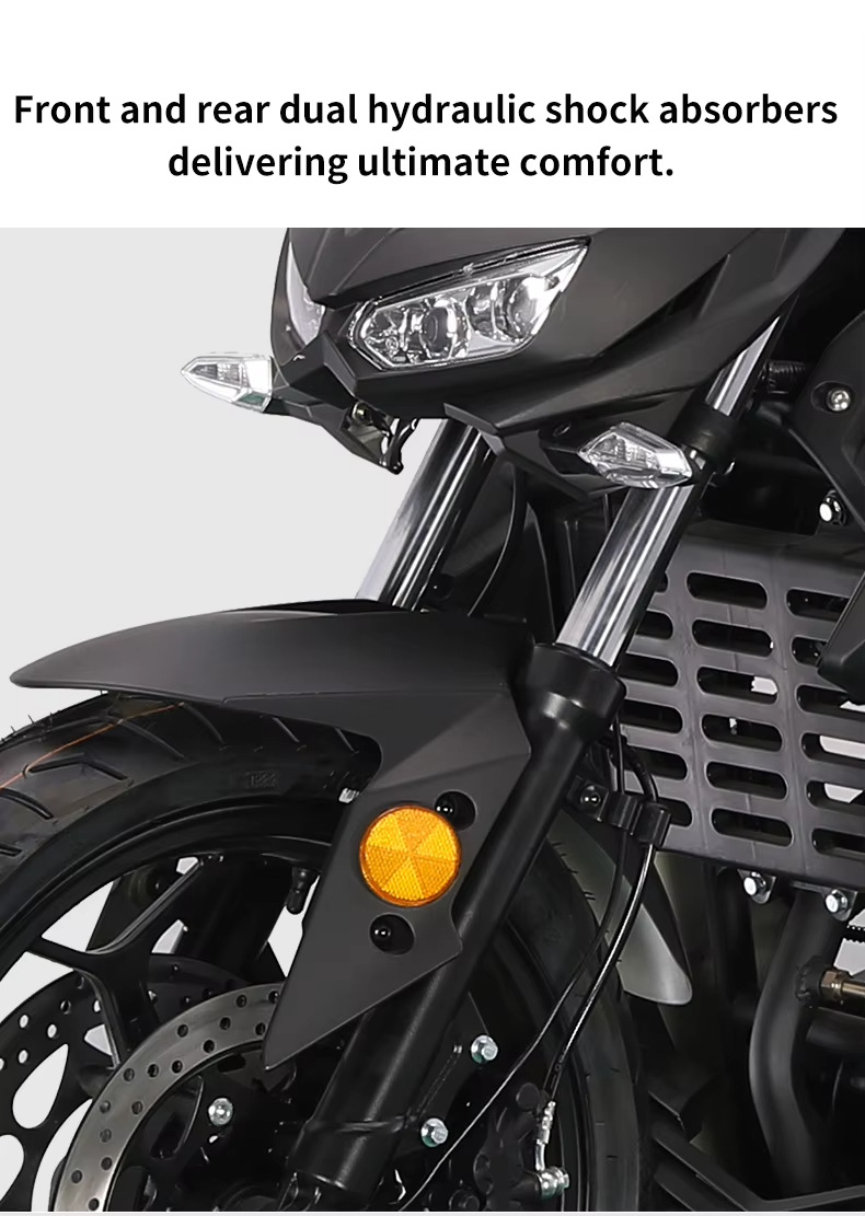 New Xixi Brand New Python Dms Motorcycle Sports Car Large Displacement Adult Cool High-Speed Motorcycle Racing Air-Cooled