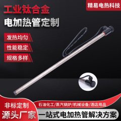 工業用チタン電気ヒーター液体加熱管耐酸腐食加熱管電気メッキ槽熱油電気加熱ロッド 220V