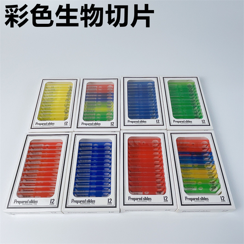 显微镜生物切片12种小学生儿童科普教育动植物昆虫花卉标本片塑料