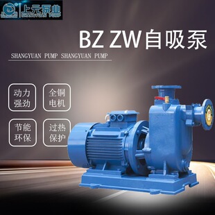 �Ϻ���ԪBZ������ˮ��ZW���۱ßo����ֱ�B��ʽ�x�ıô������ߓP��
