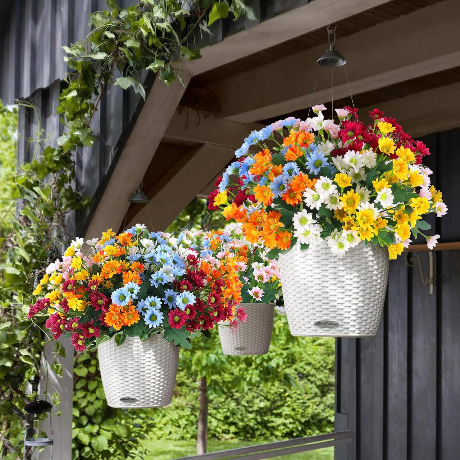 81Kg8-B8z1L._AC_SL1500_