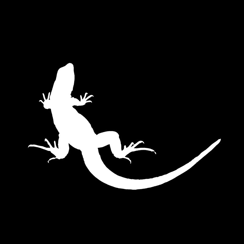 Kunst Aufkleber Eidechse Auto Aufkleber Gecko Kratzer Aufkleber Aufkleber Laptop Aufkleber_voghion.com