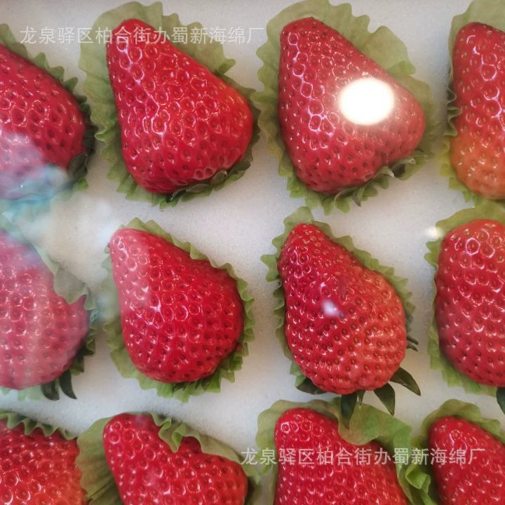 Sponge strawberry