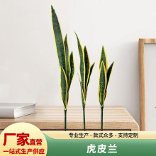 ���滢Ƥ�m��֧�����b��҃���ҾӾGֲ�����m�����辰�͏d�k����