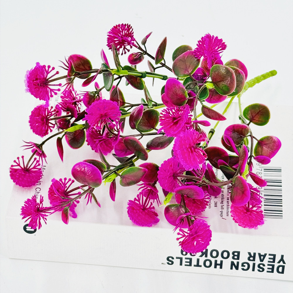 Loto rojo puro diente de león de 6 puntas