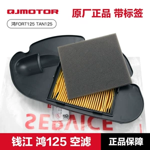 Orijinal Qianjiang HongFORT125 TAN125 hava filtri