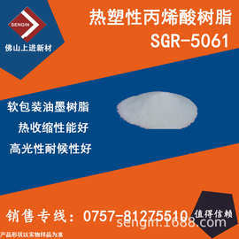 固体热塑丙烯酸树脂SGR-5061