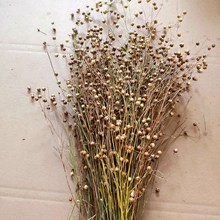 �}�����끆������쾰��}����ʳ��������������z����ż