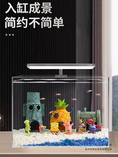 ���d�����~�ײ��}���쾰�b�ȫ��С�[����ȸ�~С�Ͷ����ɺ���ײ�