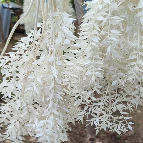 Everlasting flowers, rich leaves, dried flowers, bouquets, high-end diy materials, decorative ornaments, Mother's Day gifts, wedding supplies