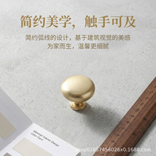 �O���L��Ҿ����ֈA���Ι��T���ֆο׈A���ֽ�ɫ���z�Ͻ���������