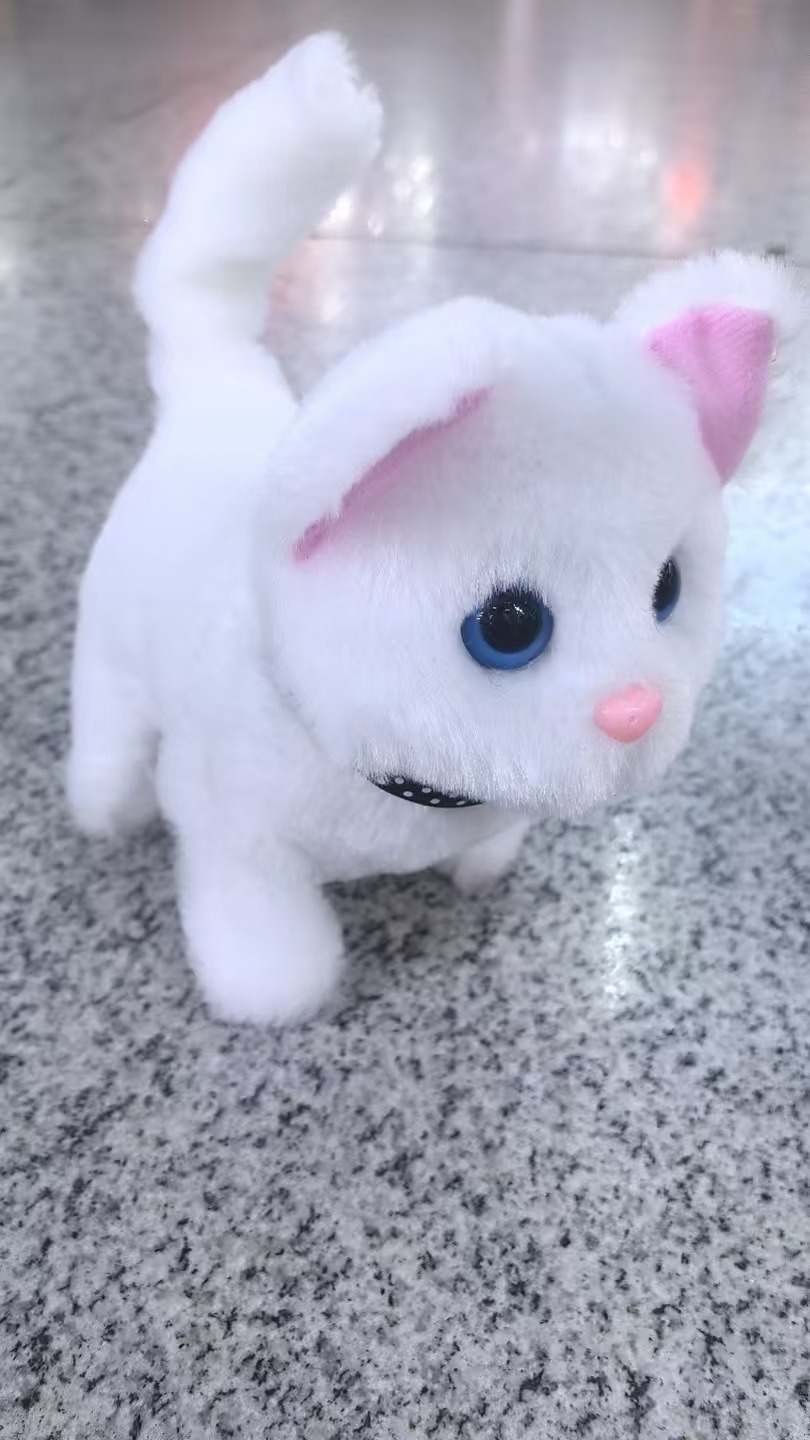 고양이 모델[화이트]