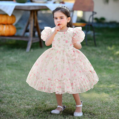 2024 New Children's Princess Dress Toddler Clothing Formal Dress School Performance Dress Puffed Skirt Cross-border Version
