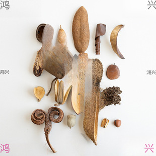 ֲ���ȫ�ɹ� �˱����diy�b� ������ղ��OӋ���ĵ���