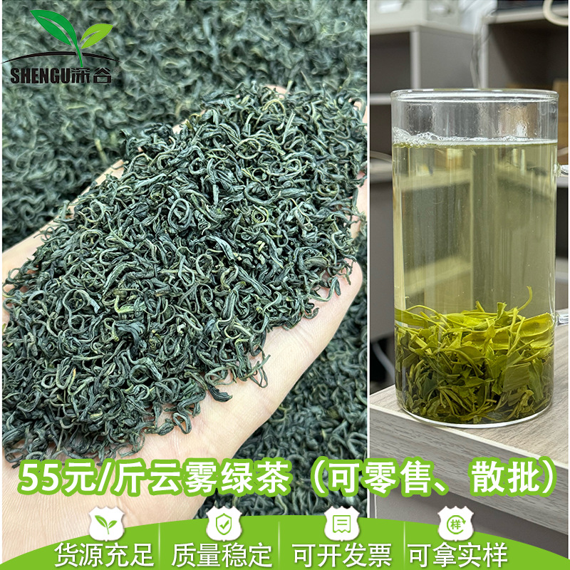 高山云雾炒青绿茶 浙江产地批发日照散装500g茶叶 绿茶茶叶批发