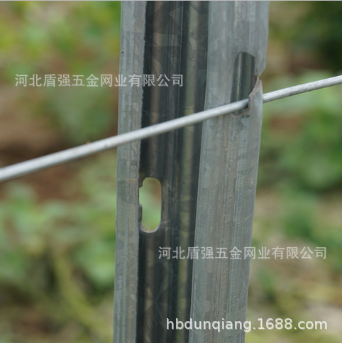 榆林市定边县金属葡萄杆子 苹果葡萄园立柱 猕猴桃架杆防鸟网立柱