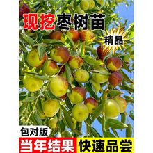 ش󶬗޽ӹشȫɷNͥԺմ箔Y