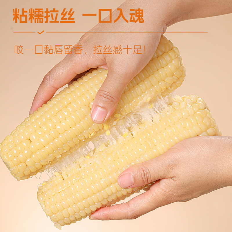 东北长白山白糯玉米真空鲜玉米当季整箱甜糯玉米苞谷嫩玉米棒子