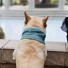 �����ļ������i����������������������͸����팙�ｵ�؇����Ȧ