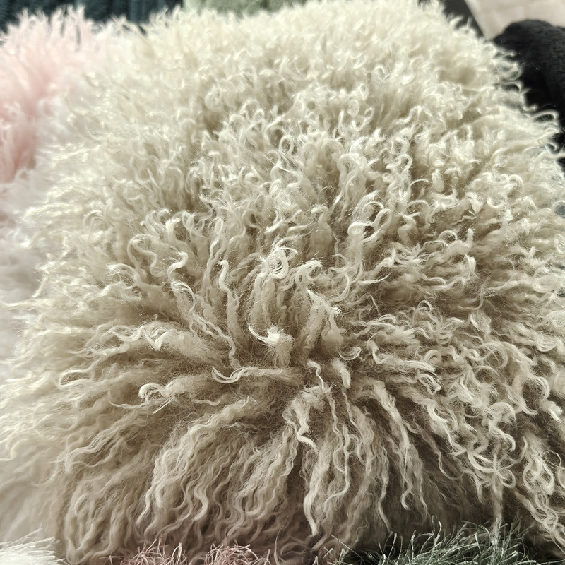 2026 New Style Long Plush Tassel Velvet Fabric, Imitation Sheep Wool Material, Expensive Artificial Curly Velvet