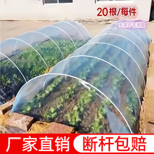新型小拱棚支架实心玻璃纤维杆棒大棚塑料养殖骨架农家用菜棚支架