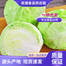 �������r�A����G���Ĳ˸��{ɏ�����r���ԷN�Fժ�F�l����ɳ�����]