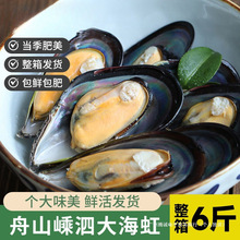 �����r���ش���ɽ���ؐ��������Ұ���Oؐ��ɺ��t���r���rؐ���