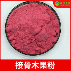接骨木果粉99% 海博供應 接骨木果提取物 接骨木粉 多規格