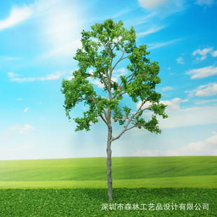 �b��侰��  ��������F�z�� �Gֲ�[���쾰�� ���-12
