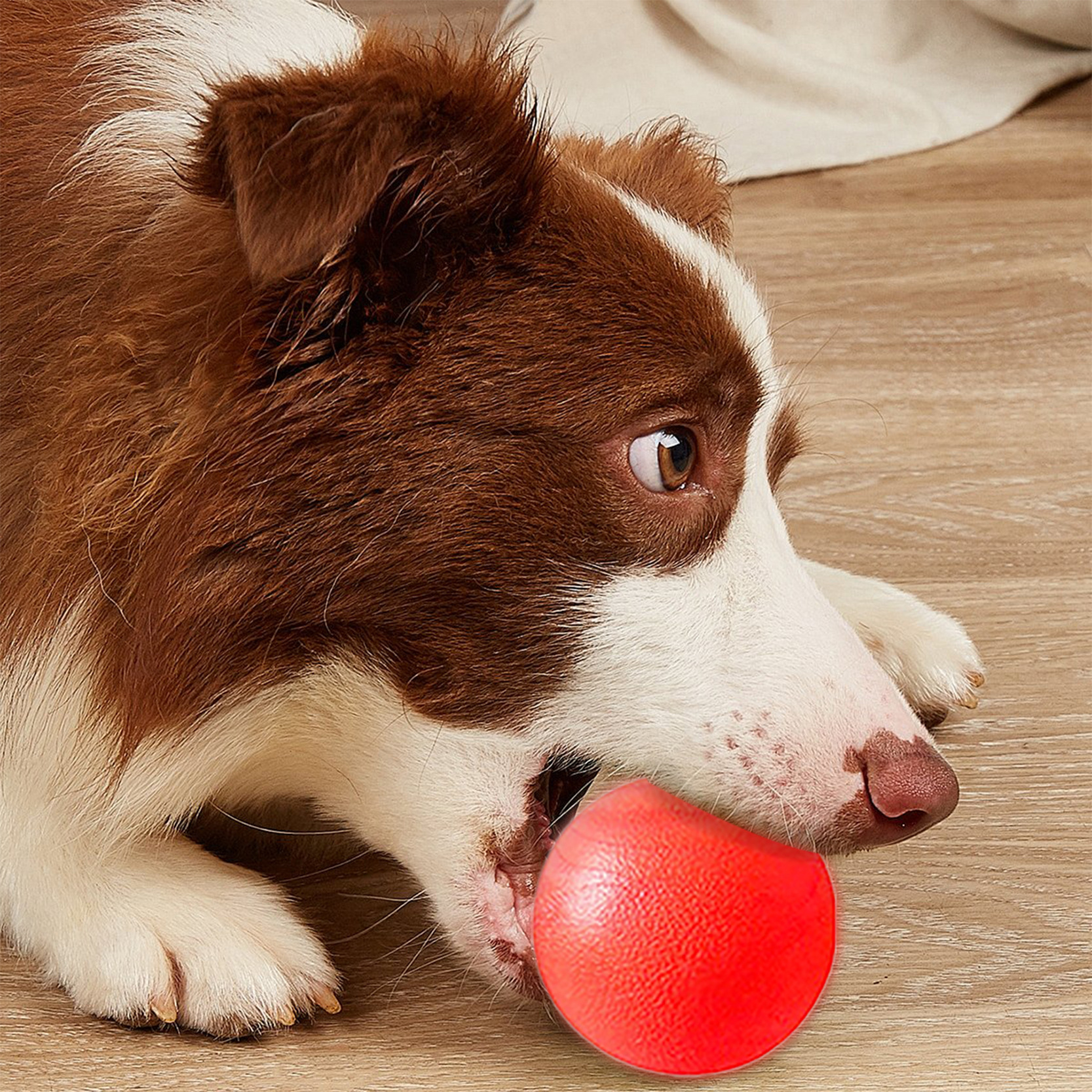 Juguetes para mascotas, pelotas para morder, pelotas sólidas elásticas de goma, juguetes molares para perros interactivos, pelotas para perros