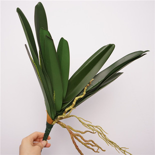 ��Ʒ�|�ָ��m���~ �����m�~�� ����ֲ��廨�b�Gֲ�����m�~��