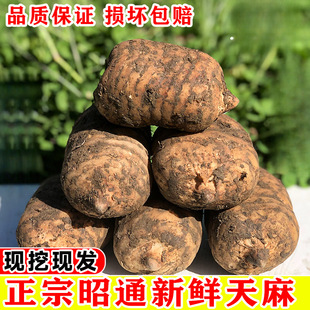 �����ͨ���r����Ұ���ؼ�����С�݉Ξ�������ș�������F�ݸ�