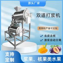 螺旋挤压浆渣分离机不锈钢桃子取汁机沙棘果红枣去核去渣打浆机