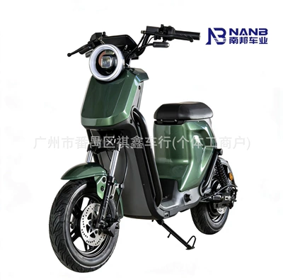 Cross-Border Sales, Elektrikli motosikletlər - green-export-bare-bike-battery-not-included