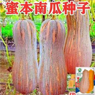 �۱��ϹϷN�ӷ�Ŵ�����⼚�������ļ��߲˷N�Ѵ�������L�ܱ��N��