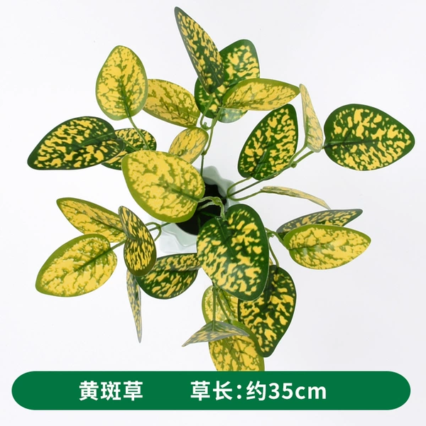 Yellow spotted grass