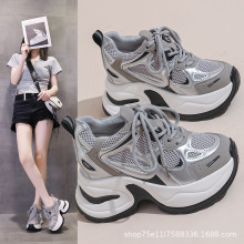 ϵЬrаٴ͸m⳱2024＾¿ŮЬ10cm\Ь