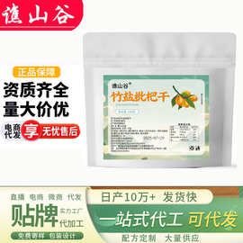 谯山谷竹盐枇杷干一件代发批发无核果干枇杷干美味果脯软糯100g