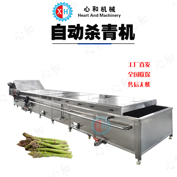 大型竹笋蒸煮机 山野单杀青漂烫机 心和连续式预煮流水线设备