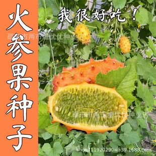 ��Ʒ�������N�ӷ��ޜ�ԷN�Ѵ̽ǹϻ��ǹ��Ѻ�������ɫˮ���N��