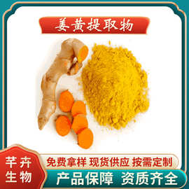 姜黄提取物 水溶 姜黄粉 姜黄素 姜黄浓缩粉 另有95% 1KG起包邮